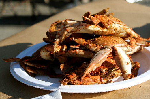 Maryland crabs 