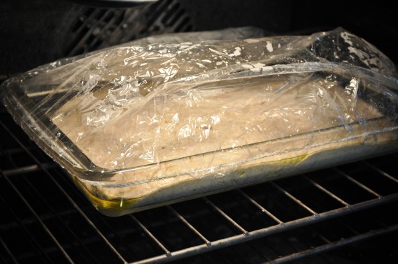 Whole Wheat No-Knead Focaccia Bread