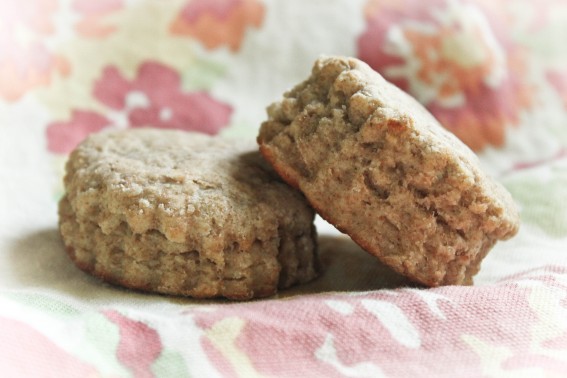 easy homemade whole wheat biscuits