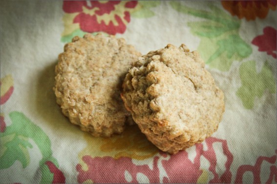 Easy Whole Wheat Biscuits