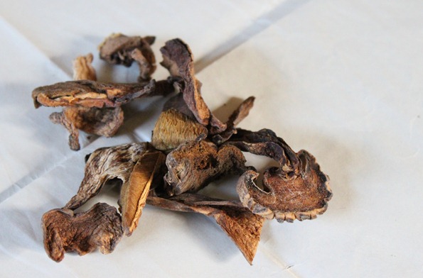 Dried Porcini Mushrooms