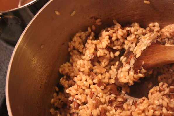 Porcini Mushroom Risotto