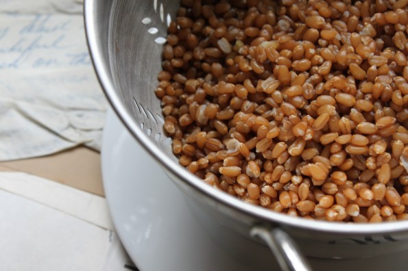 Cooked Wheat Berries 