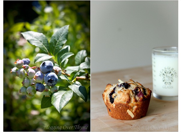 Simple Blueberry Almond Muffins