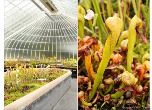 kibble palace