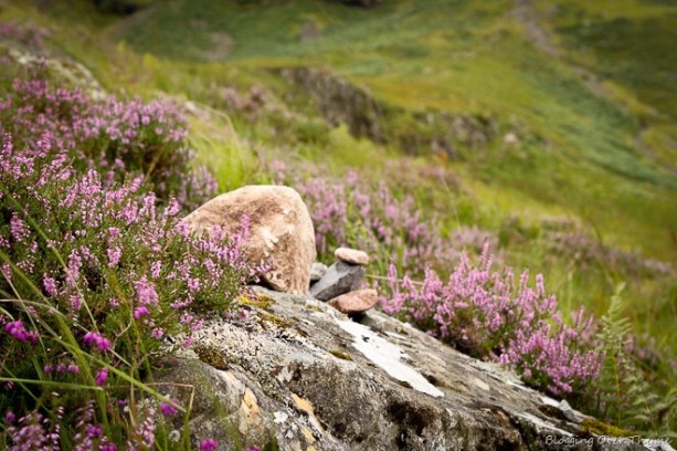 scottish highlands