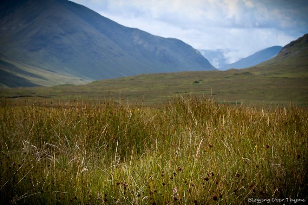 scottish_highlands2