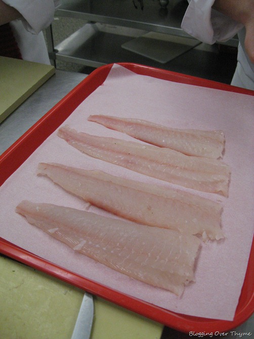 filleted flounder