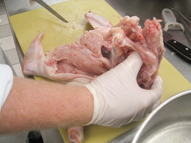 chicken carcass 