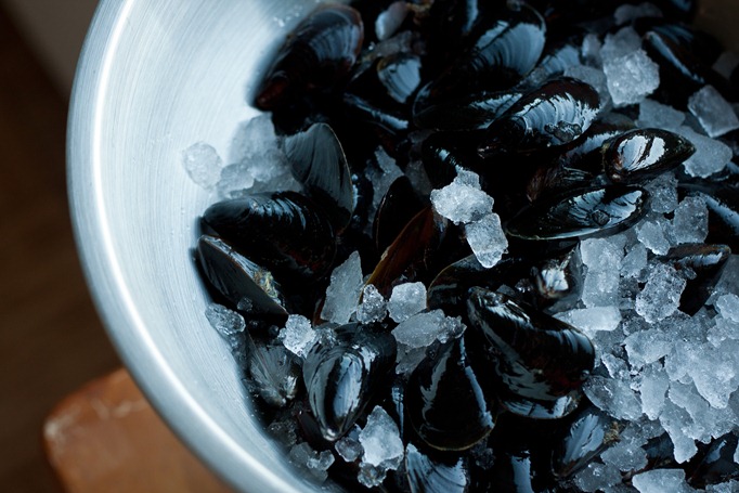 French mussels in a bowl with ice