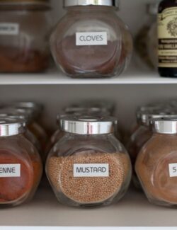 spice organization