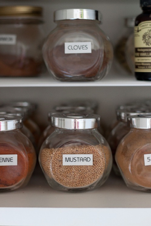 spice organization