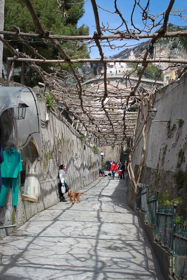 positano_vines-1