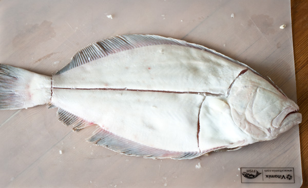 How to Fillet A Flat Fish - a simple description and step-by-step photos on how to fillet a flat fish (flounder), as well as simple preparation ideas for the kitchen. 