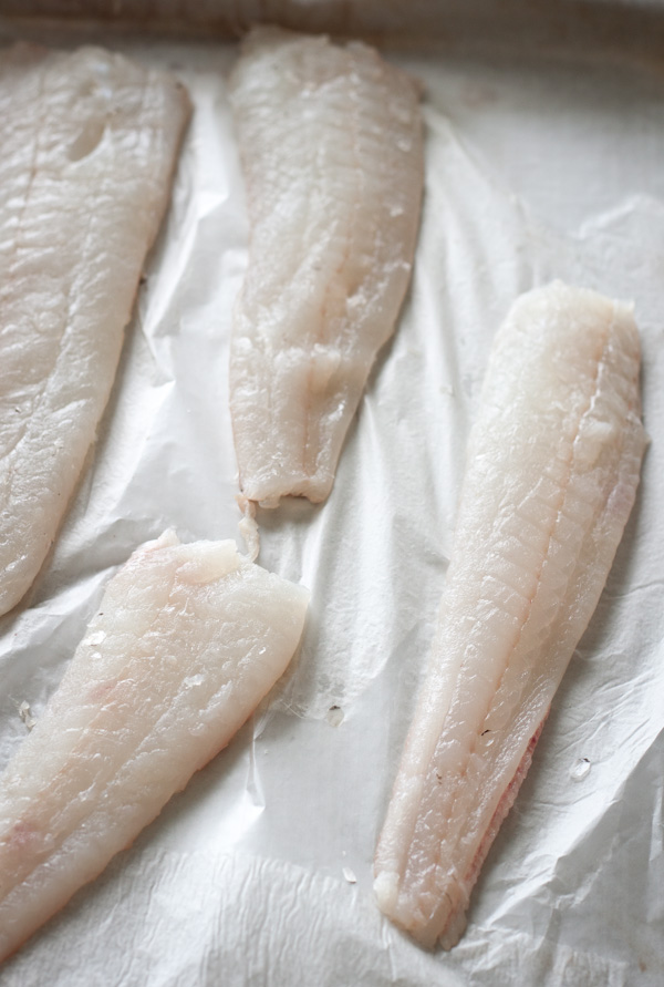 Raw Flounder Fillets