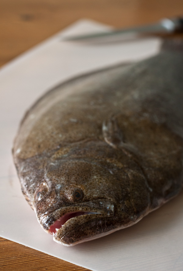 How to Fillet A Flat Fish - A Beautiful Plate