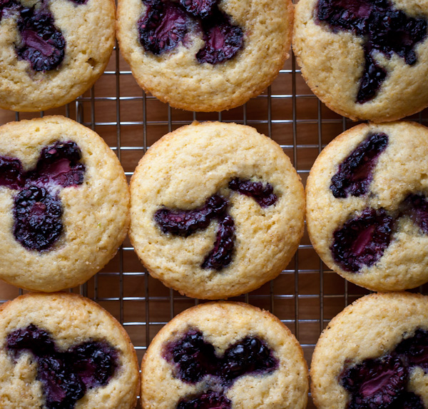 Blackberry Corn Muffins