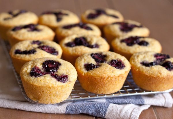 Blackberry Corn Muffins