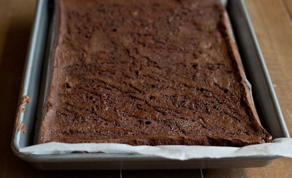 Chocolate Roll Cake in Pan