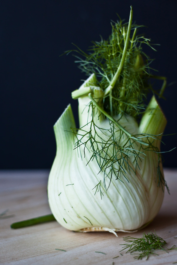 Fennel Bulb