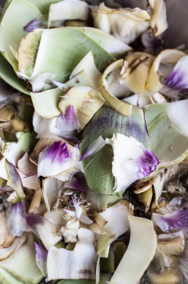 Artichoke Leaves