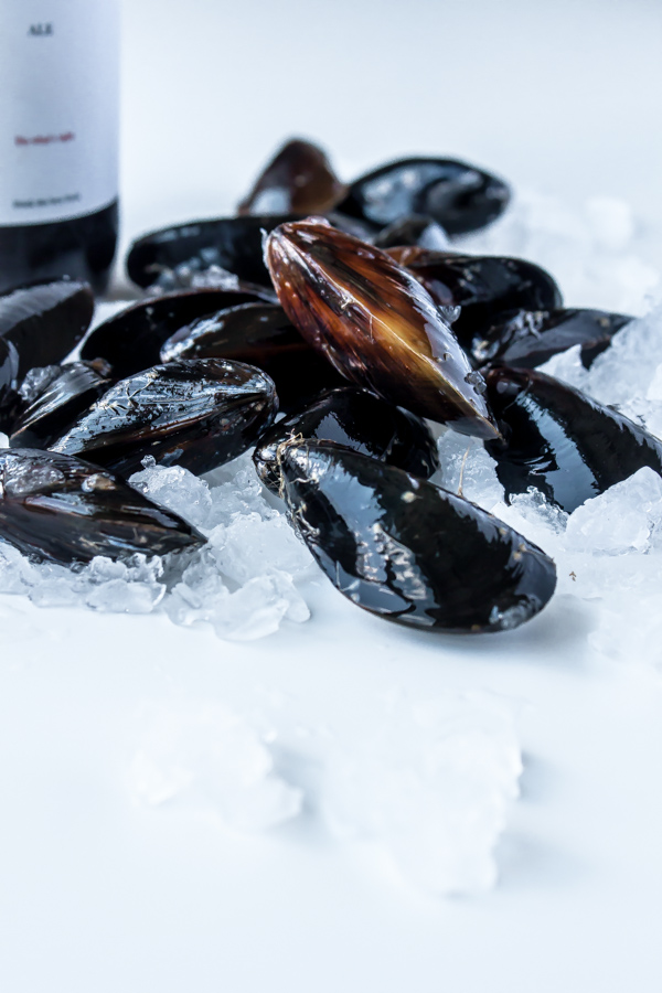 Fresh Mussels