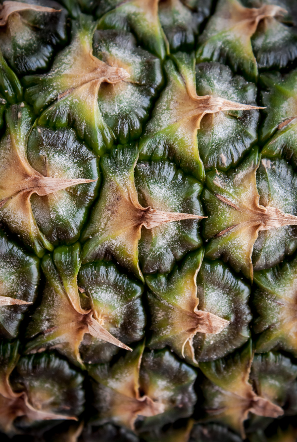 Pineapple Skin Close Up