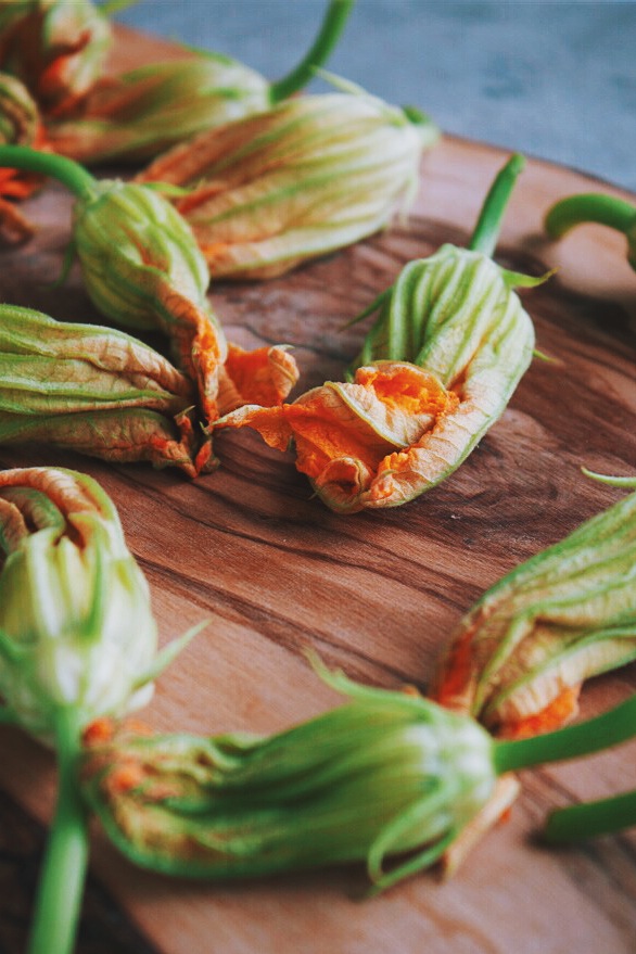 Fresh Zucchini Blossoms