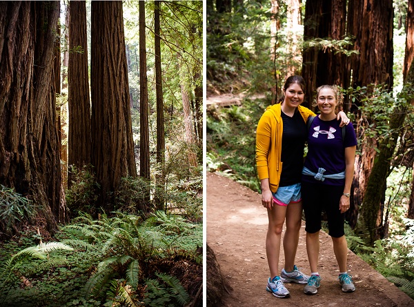 Muir Woods | bloggingoverthyme.com