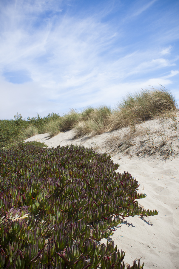 Stinson Beach | bloggingoverthyme.com