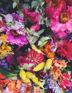 Farmer's Market Flowers | bloggingoverthyme.com