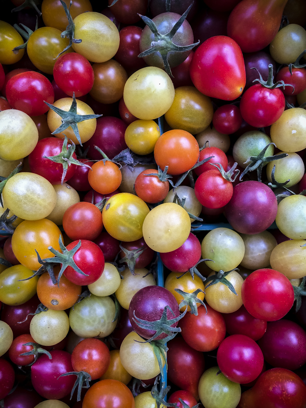 Oakland Farmer's Market | bloggingoverthyme.com