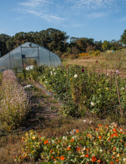 Blue Hill at Stone Barns