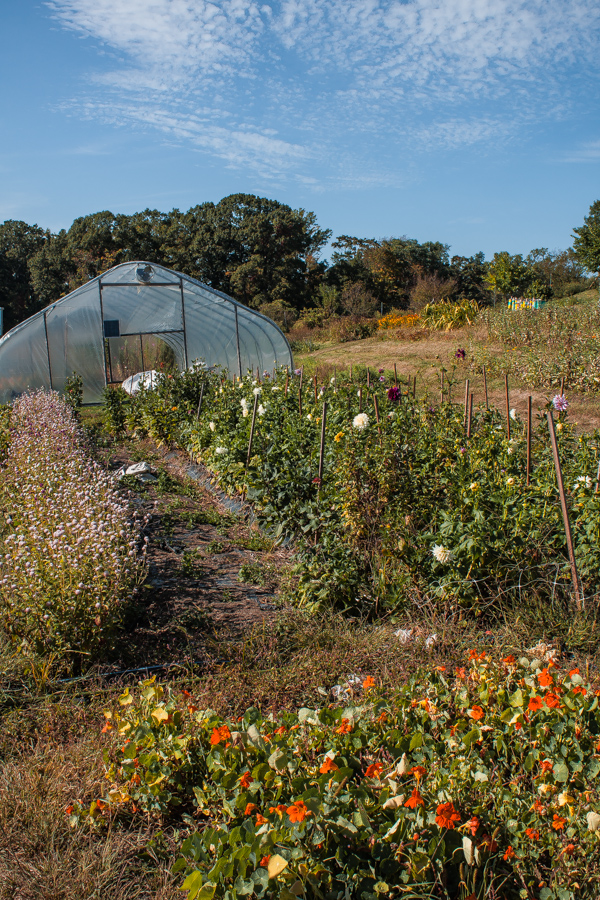 Blue Hill at Stone Barns