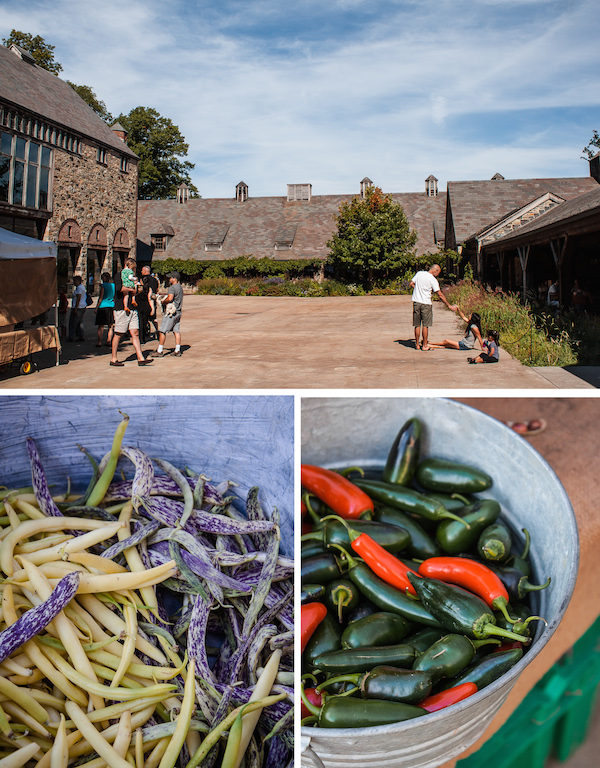 Blue Hill at Stone Barns