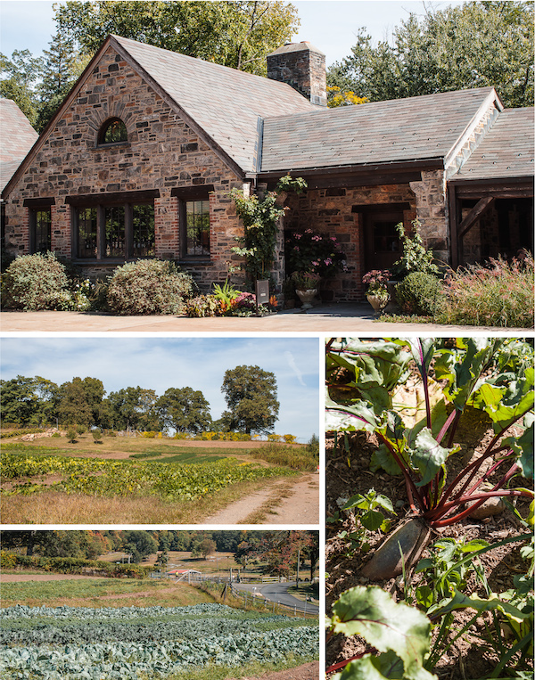 Blue Hill at Stone Barns