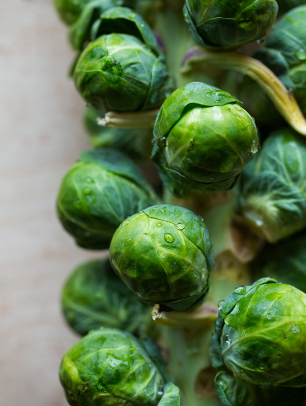 Fried Brussels Sprout Leaves with Lemon & Chili Flakes. The perfect crispy snack! 