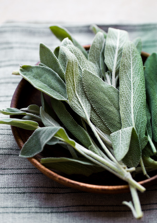 Fresh Sage Leaves