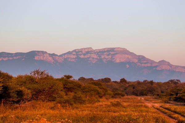 Kapama Game Reserve South Africa