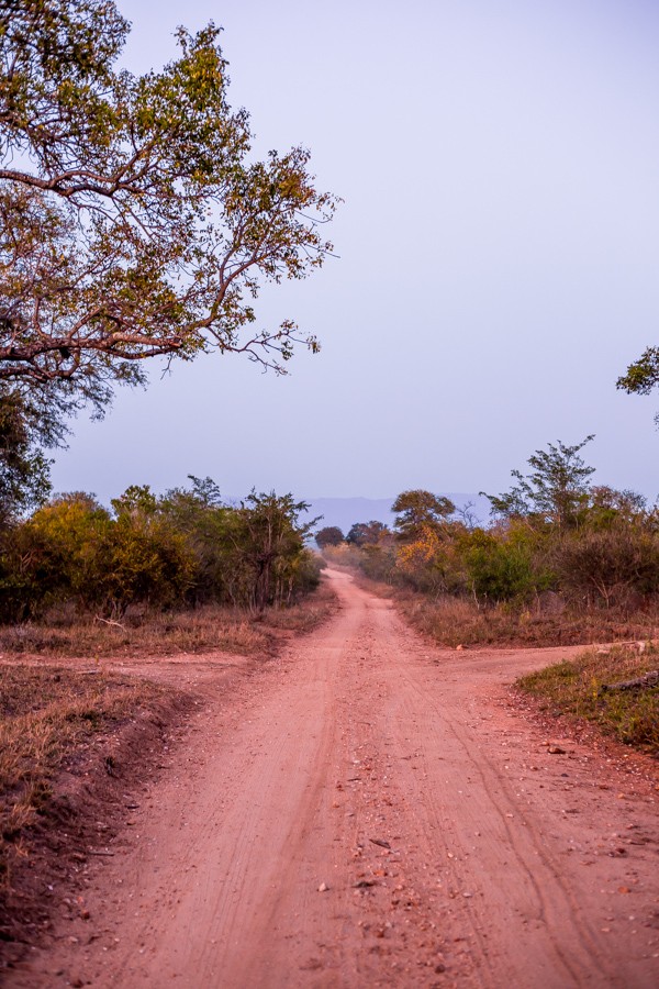 Kapama Game Reserve South Africa