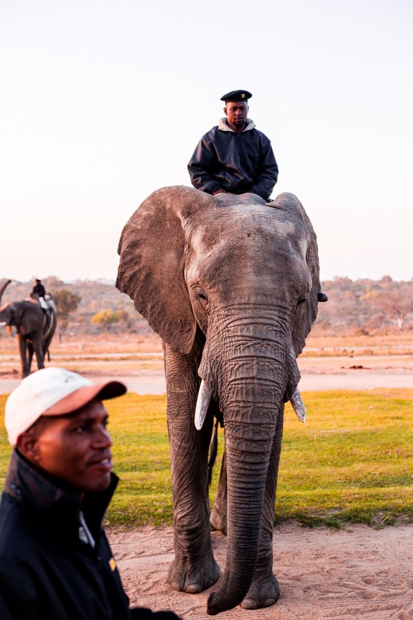 Kapama Game Reserve South Africa