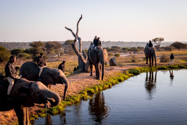 Kapama Game Reserve South Africa