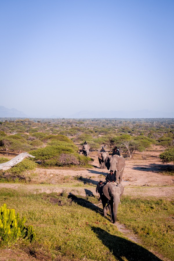 Kapama Game Reserve South Africa