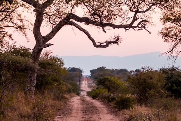 Kapama Game Reserve South Africa