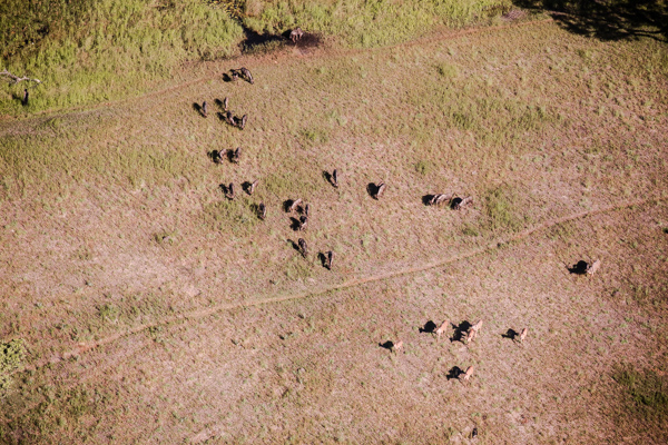 Okavango Delta, Botswana