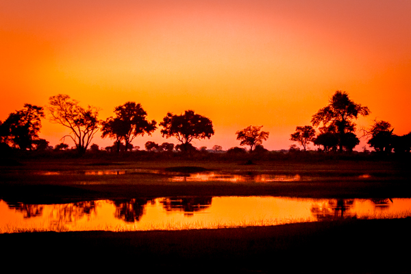 The Okavanga Delta, Bostwanav