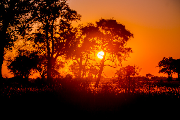 Sunrise in the Okavango Delta, Botswana