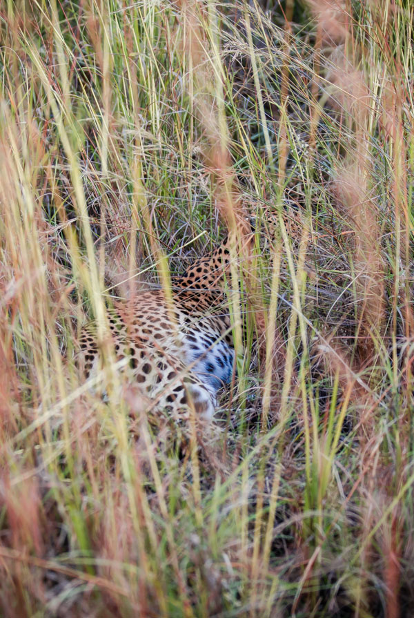 Okavango Delta, Botswana