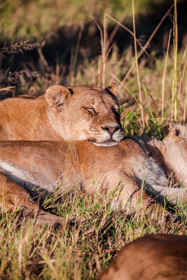 The Okavango Delta, Botswana