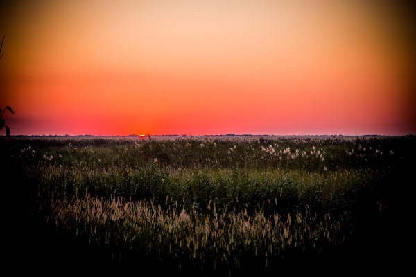 Chobe National Park, Botswana